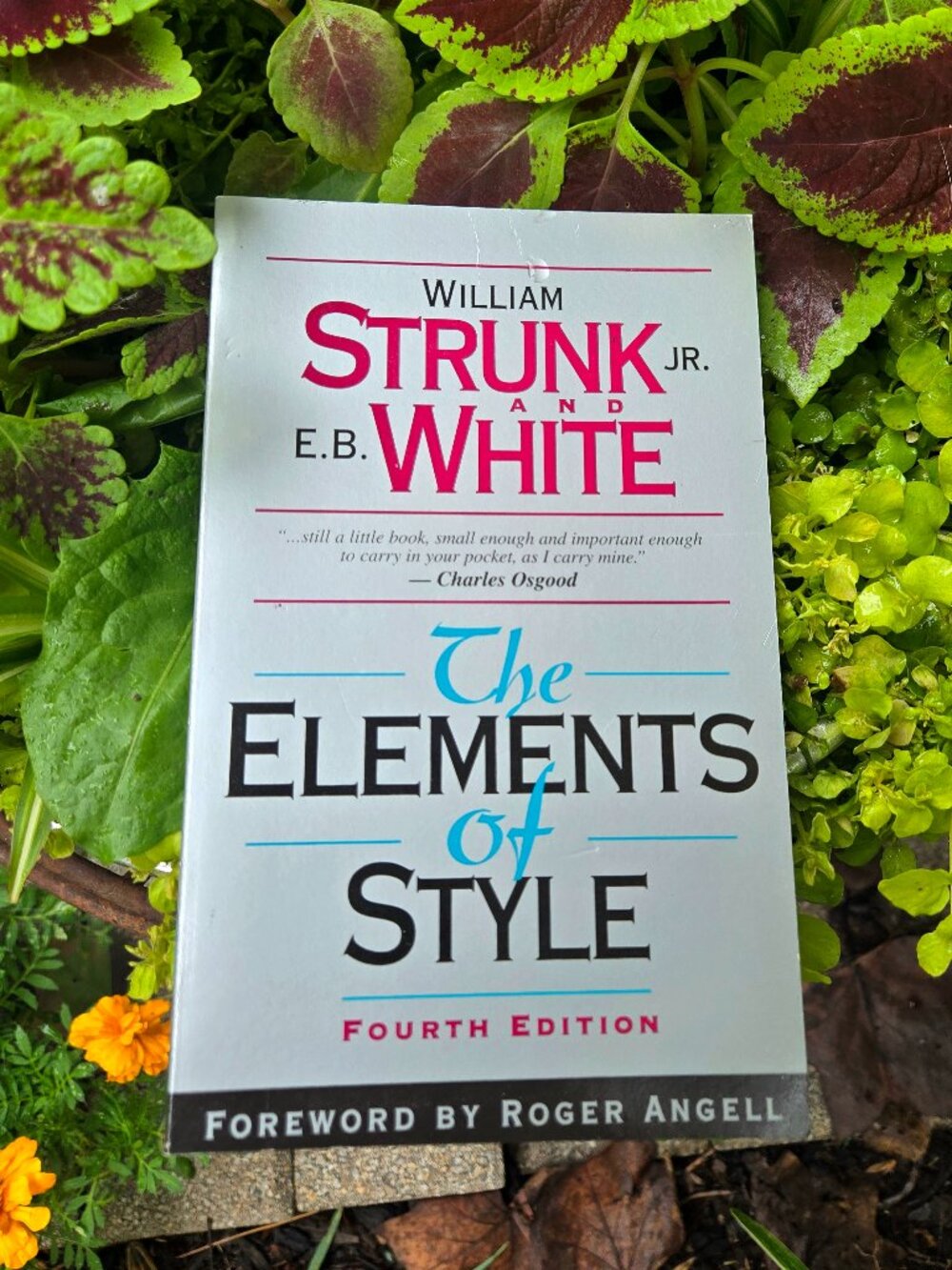 The Elements of Style (4th Edition) by Strunk & White Essential English Writing